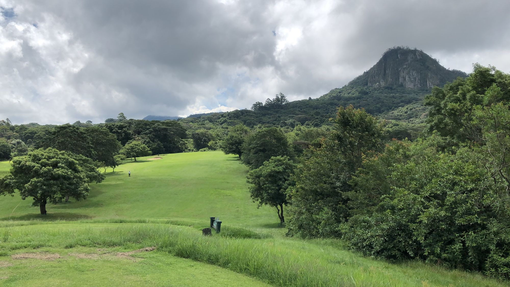 The course under Chinyakwaremba